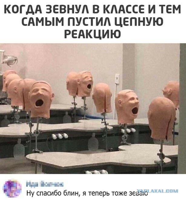 Юмор и прикольные картинки 04.12.2020