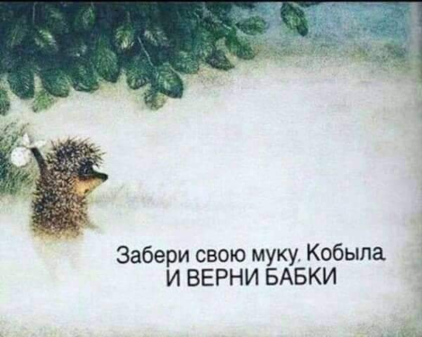Почему мужчина не должен знать, на что тратятся его алименты?