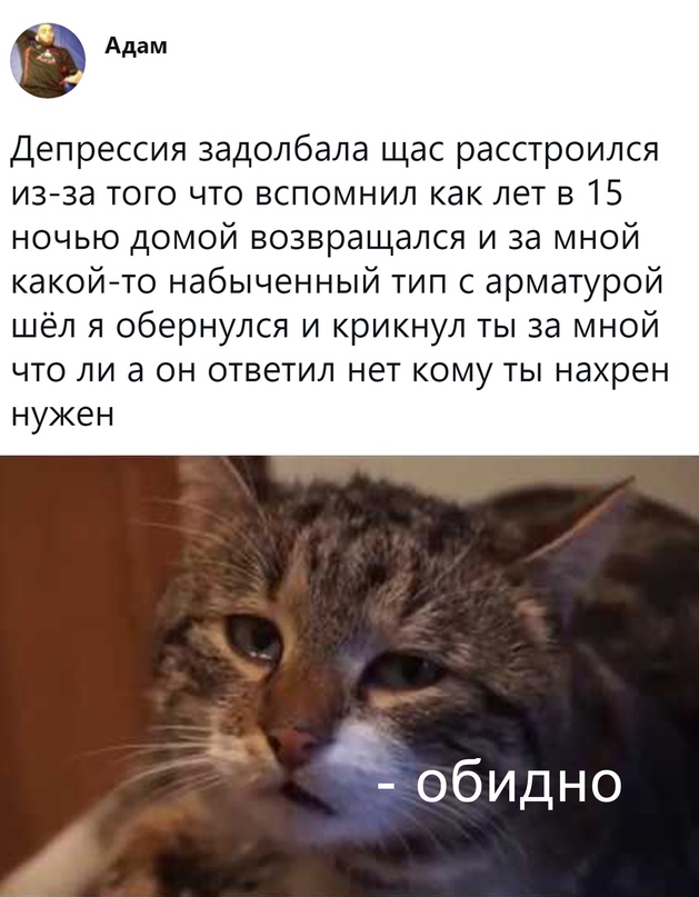 Весёлый полтишок 20.03