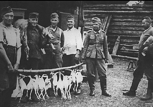 Браконьер - депутат