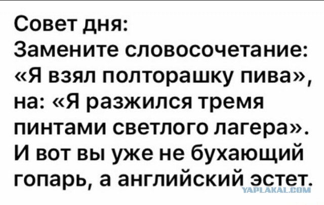Юмор и прикольные картинки