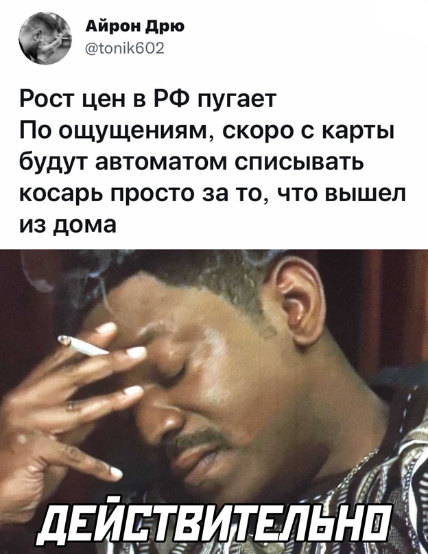 Весёлый полтишок 23.11