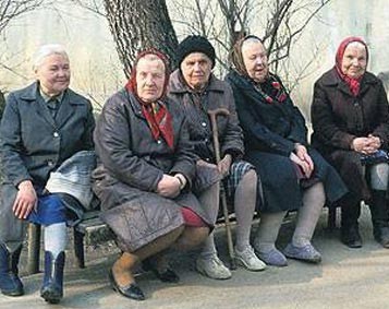 В Госдуме предложили ввести штрафы до ₽30.000 для тех, кто выбрасывает на улицу домашних животных