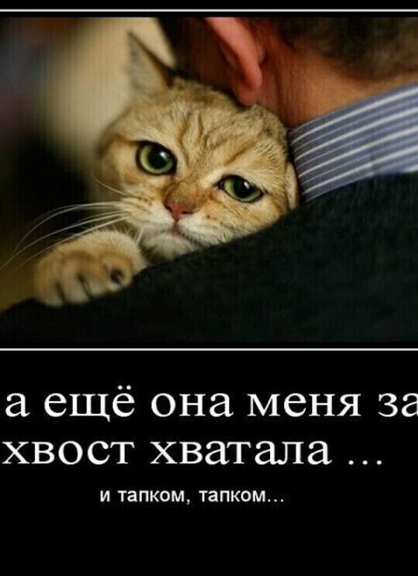 Картинки и мемы для настроения - 23