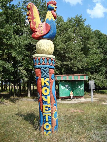 Кочету подарите