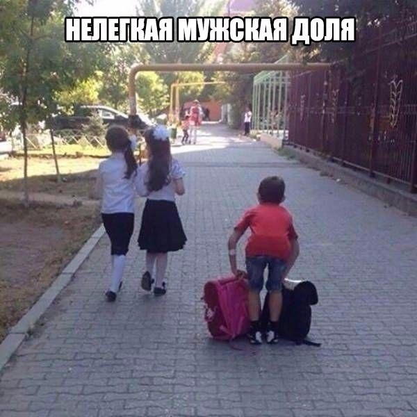 Немного картинок для настроения - 137