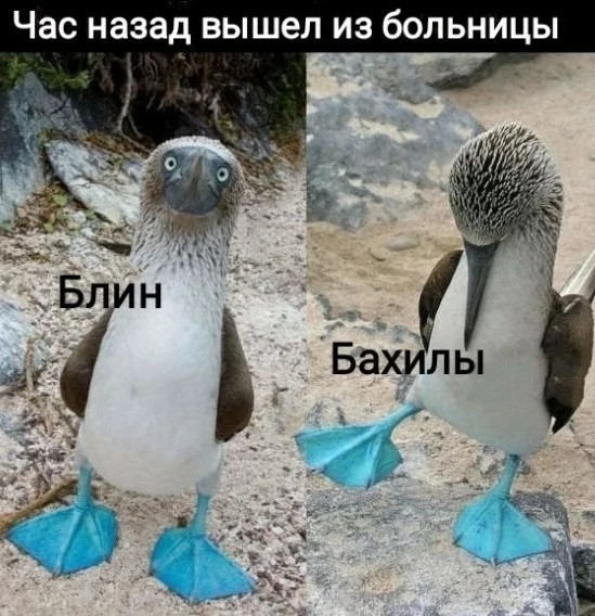 Нуштош 25.02.23