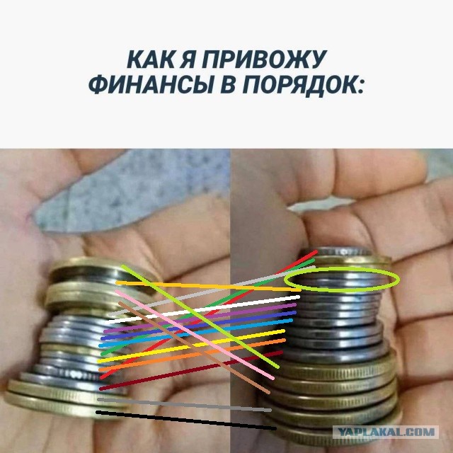Побег от серых будней