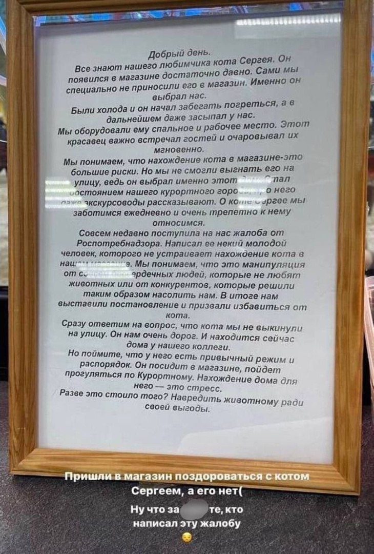 Приходит, сидит под дверью магазина, грустит» - ЯПлакалъ