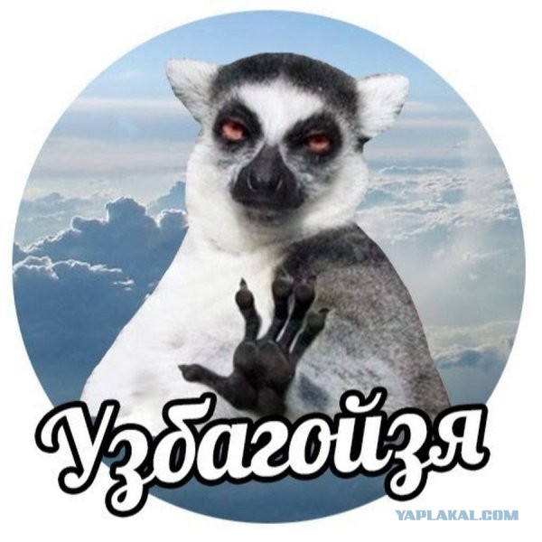 "Урок" пошёл не по плану