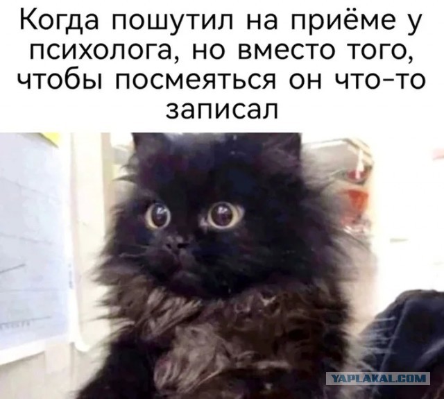 Средашние баяны