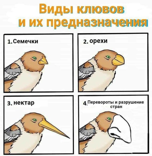 Всего понемногу. От 27.06.2024