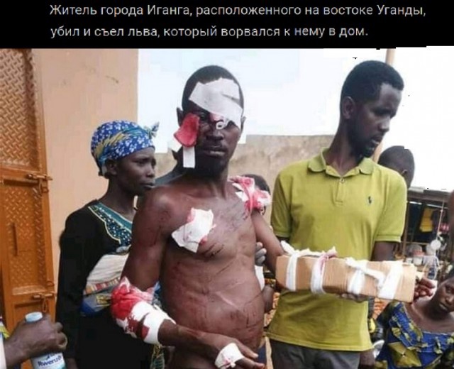 Хозяйка алабая без причины натравила собаку на соседей и он с ними жестоко расправился