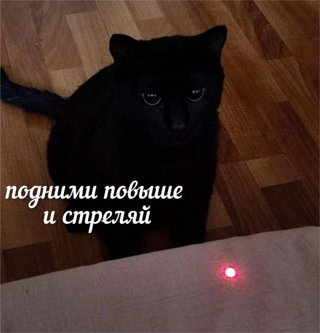 Завалялось тут случайно немного забавных картинок
