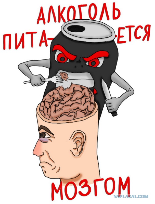Что происходит с мозгом, когда бросаешь пить