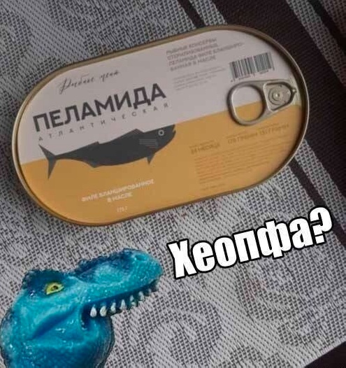 Так себе картинки 11.11.24