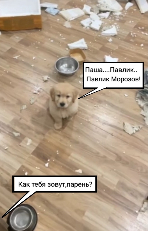 Что же тут произошло, и кто виноват?
