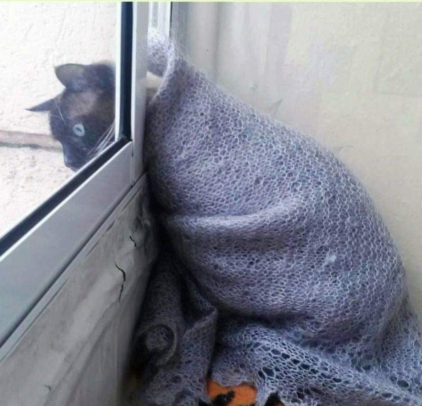 — Наташа! Слышь? Сосисок купи, сметану не забудь и рыбов, рыбов побольше купи!