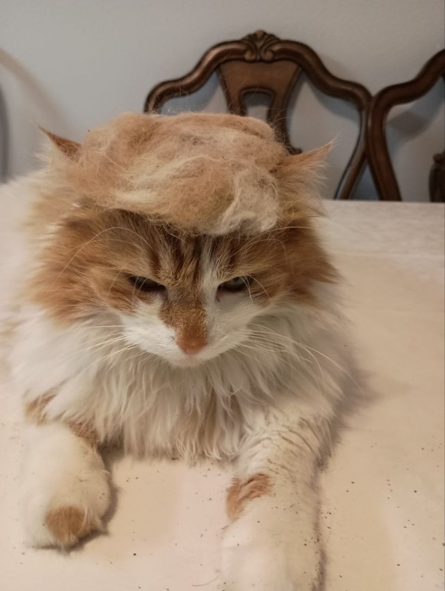 Цитаты советских словарей: ПРЕЗИДЕНТ