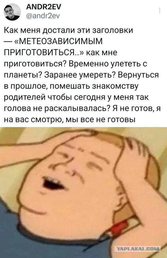 Весёлый полтишок 16.02.25