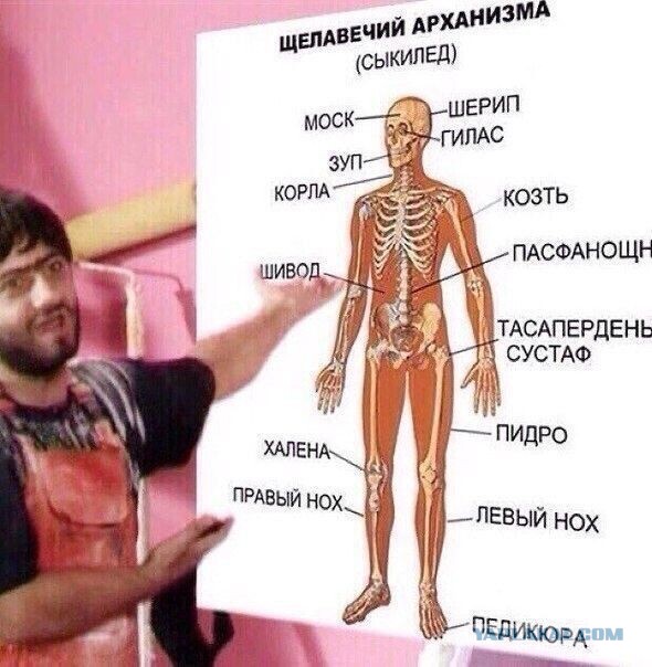 В Минздраве не поддержали идею экзамена по русскому языку для иностранных врачей