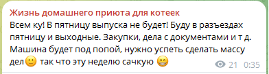 Жизнь домашнего приюта для котеек 553