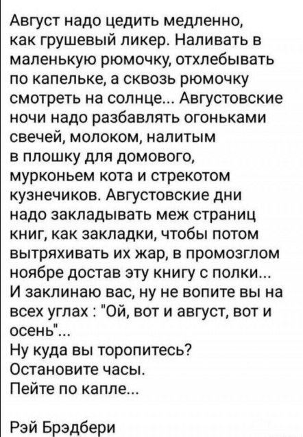 Так себе картинки 16.08.25