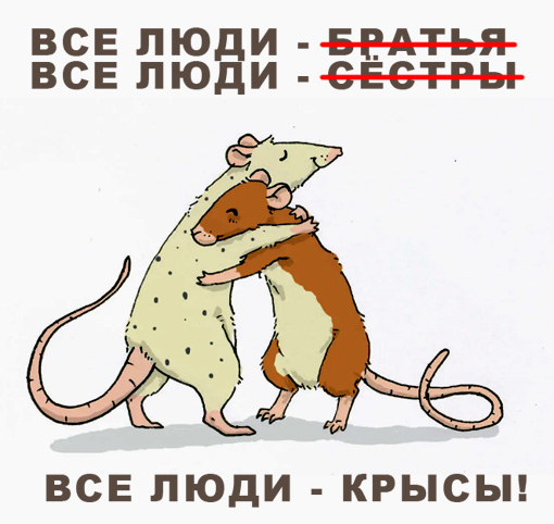Даже не было сомнений...