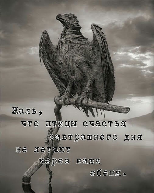 Картинки для деградации 123 (разной степени свежести)
