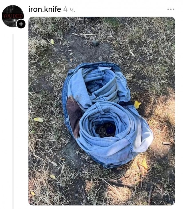 Эти чудесные создания...⁠