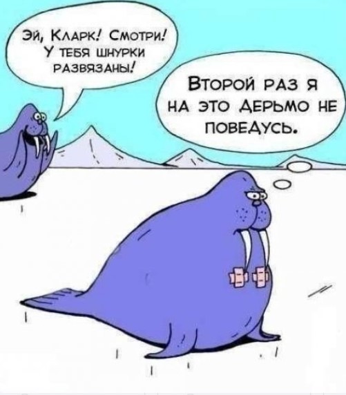 Картиночки, баянчики 30 апреля