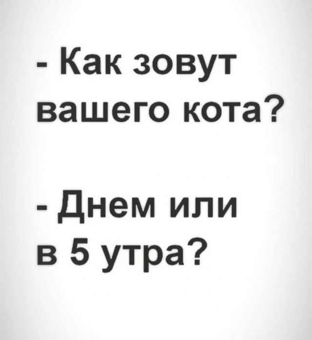 Веселые картинки в понедельник (01.06)