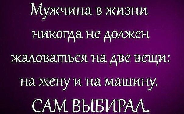 Почему мухоловок нельзя убивать?