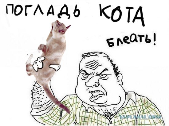 Будь мужиком !