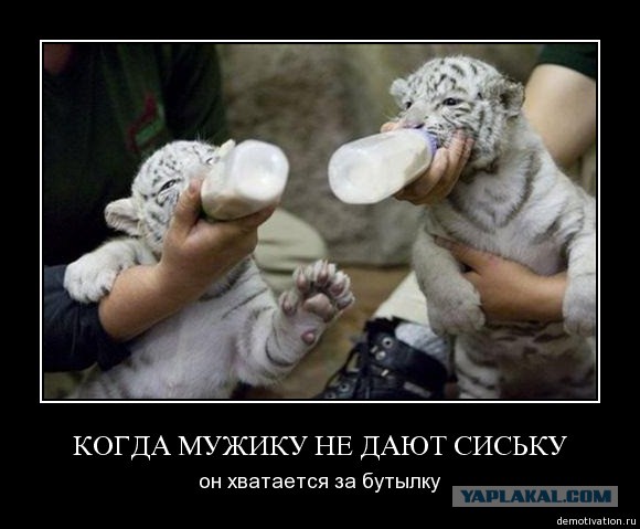 Демотиваторов пост