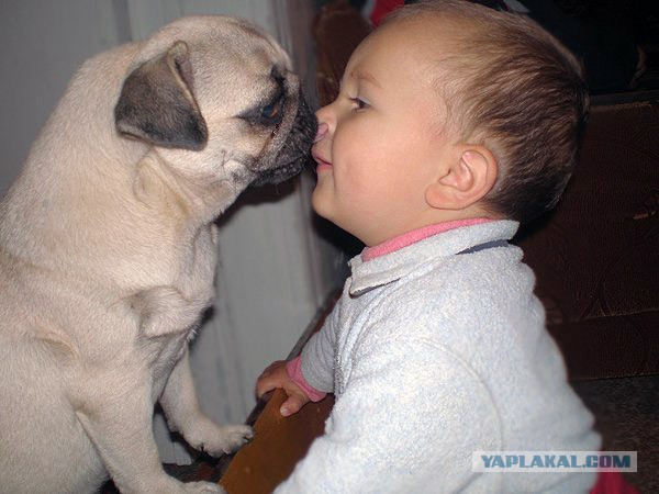 Текст и еще немного фотографий подтверждающих