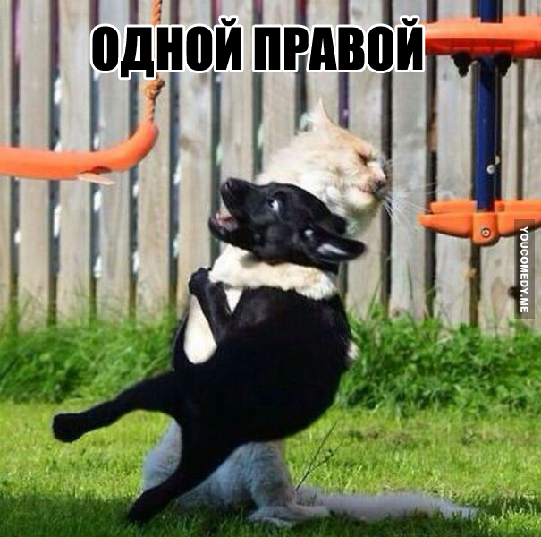 Немного позитива на пятницу