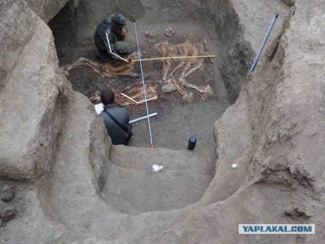 На Кубани найдены останки людей огромного роста