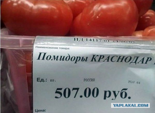 Достал талоны на инет!