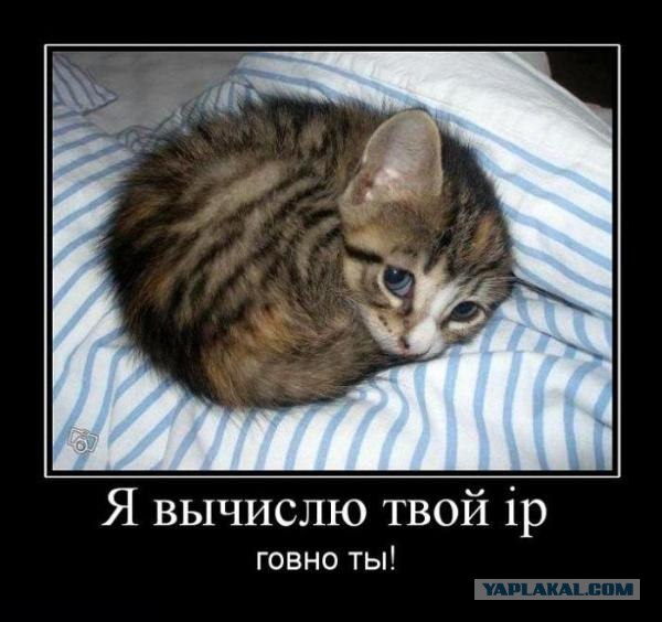 ЯПMAN