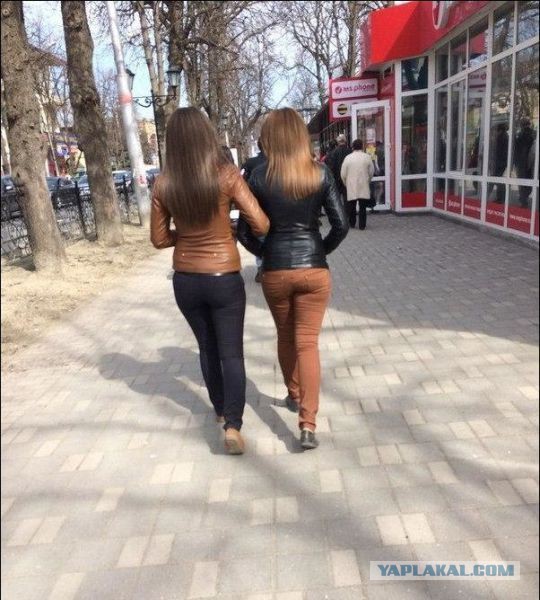 Веселые картинки
