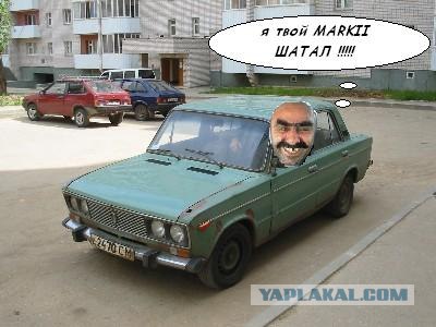Выпал первый снег