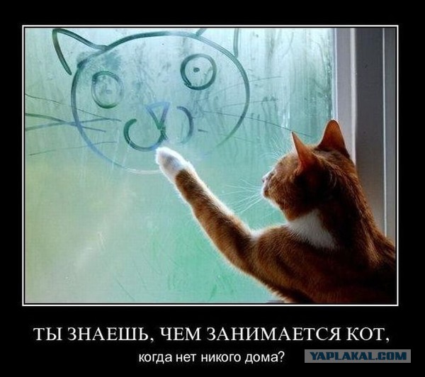 Давно демотиваторов не было