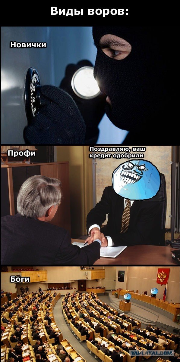 Виды воров