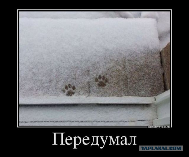 Коротко о прогулке: Передумал