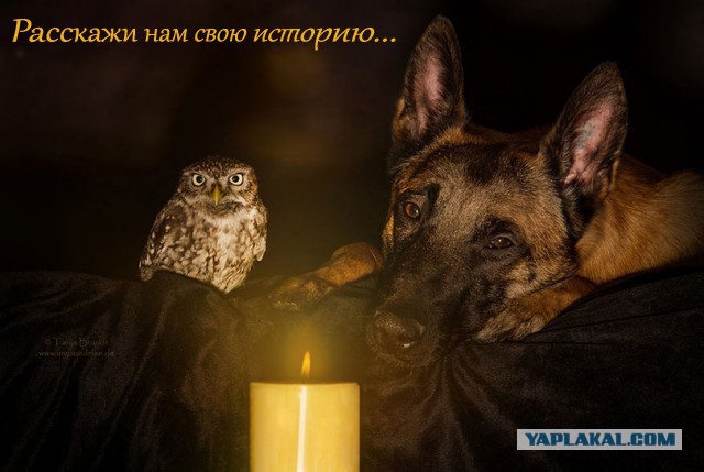 Мгновенная карма