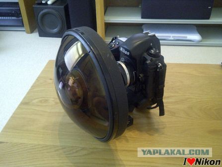 Когда фотографируешь на холоде