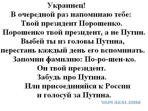 Политическая солянка #2