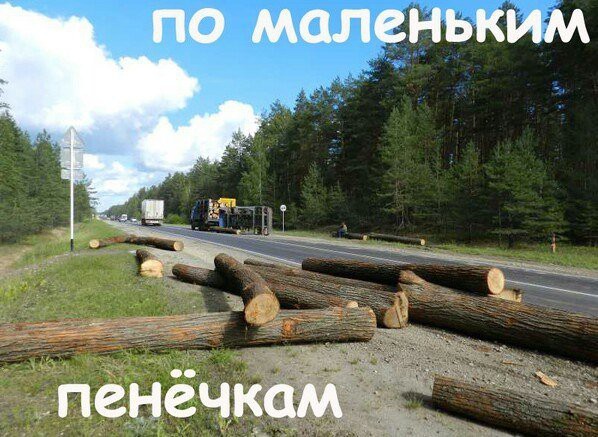 В этой стране с детства готовят к реальной жизни