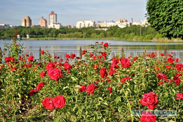 Город контрастов: война и мир современного Донецка